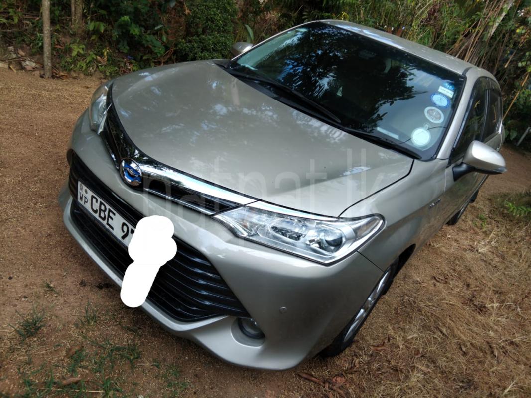 Advertisement image 1