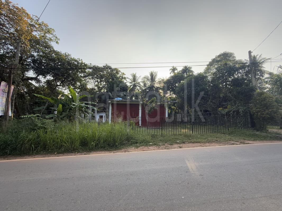 Advertisement image 1