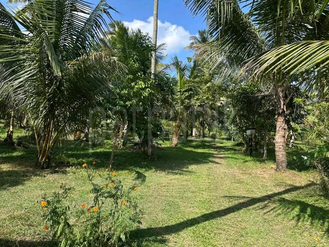 Agricultural Land for Sale in Galle ads-image-1