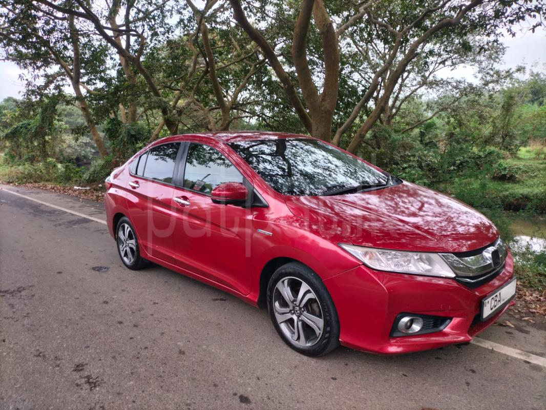 Advertisement image 1