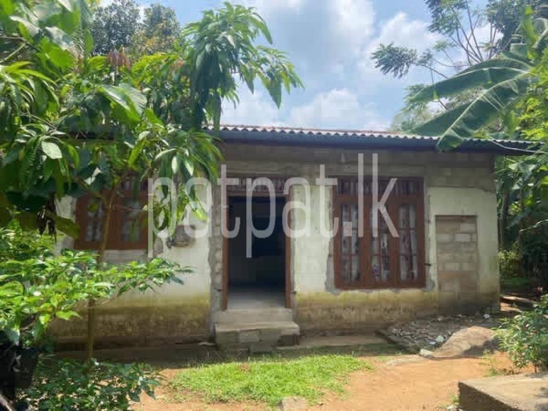 premium-listing-image