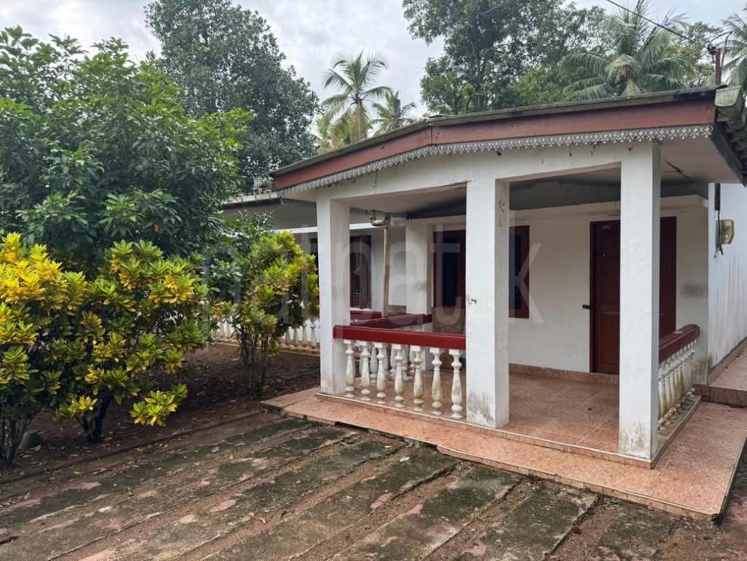 premium-listing-image