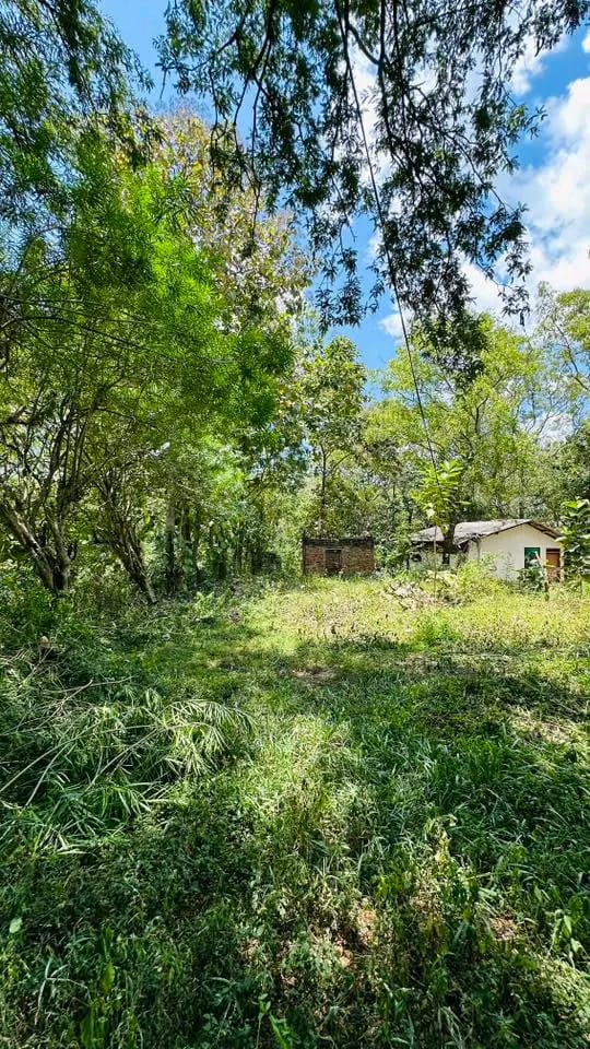 Residential Land for Sale in Badulla