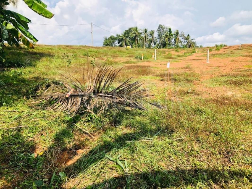 Residential Land for Sale in Kahathuduwa ads-image-1