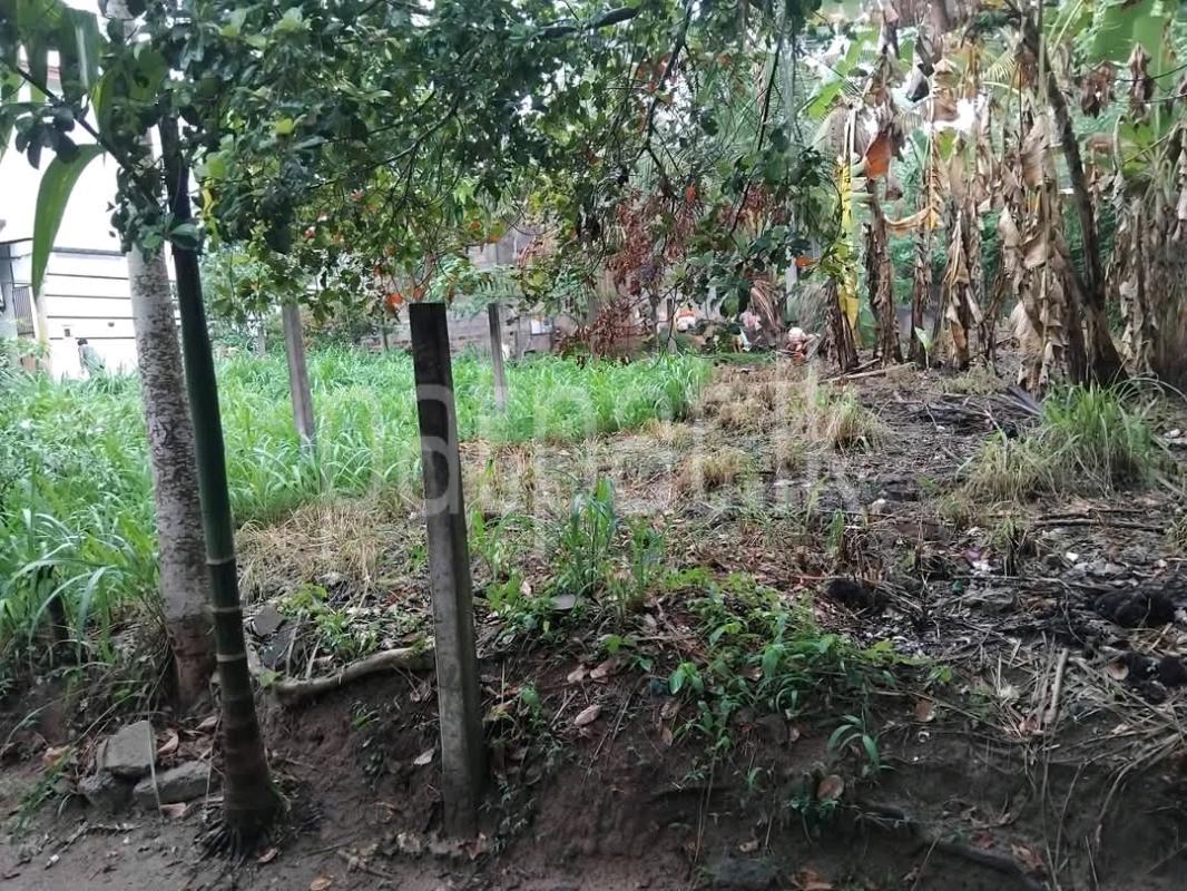 Commercial Land for Sale in Kottawa
