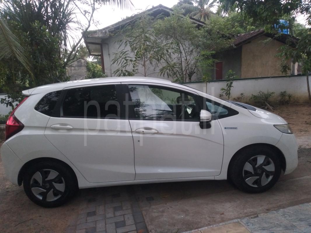 Advertisement image 3