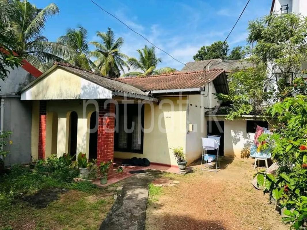 Advertisement image 1