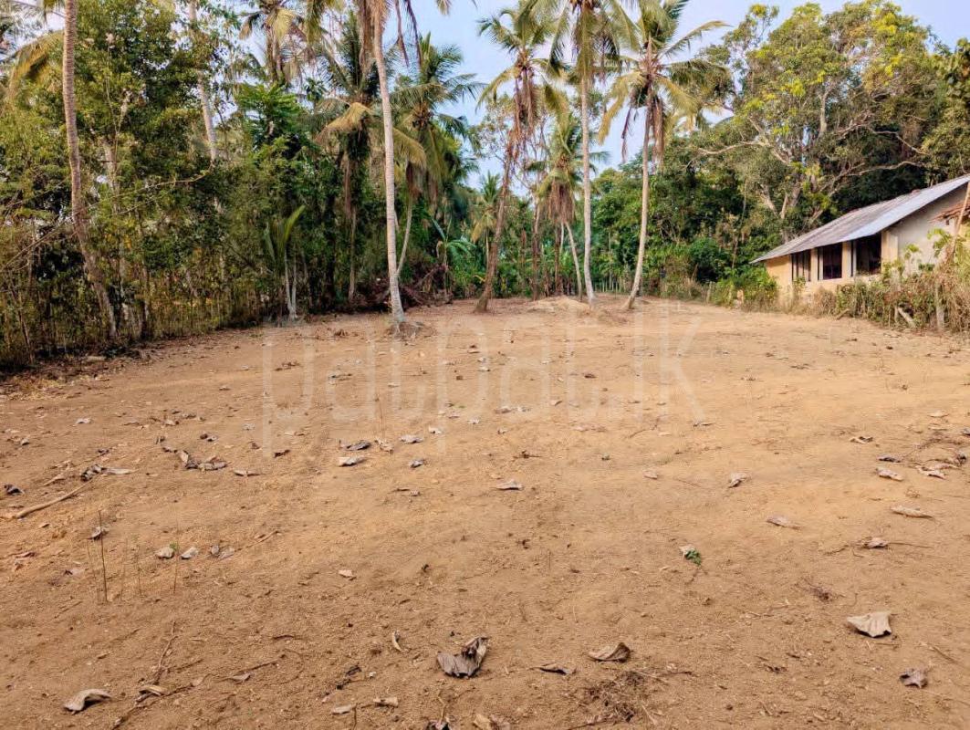 Residential Land for Sale in Nittambuwa