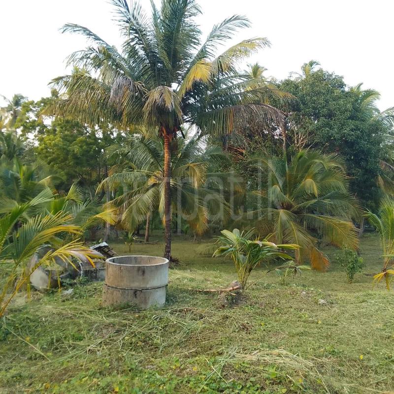 Commercial Land for Sale in Tangalla