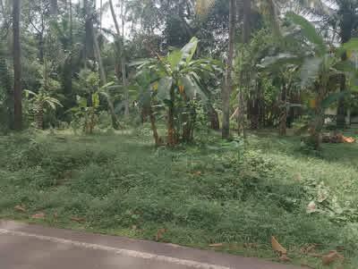 Agricultural Land for Sale in Divulapitiya