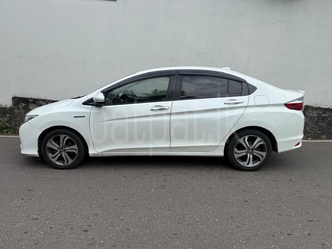 Advertisement image 1