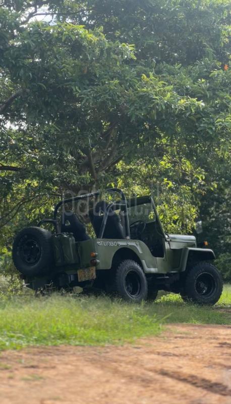 Advertisement image 4