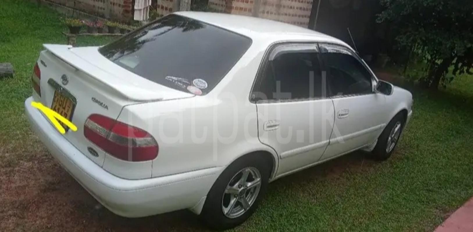 Toyota Corolla 1999 - Used Car sale in Sri Lanka - patpat.lk