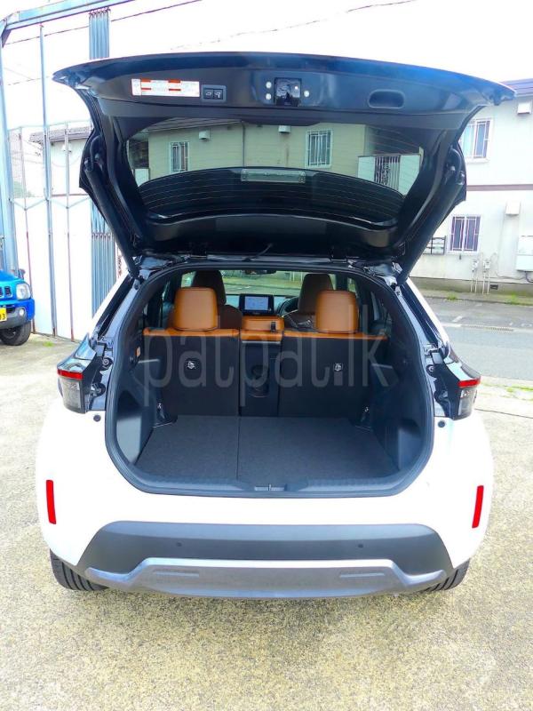 Advertisement image 3