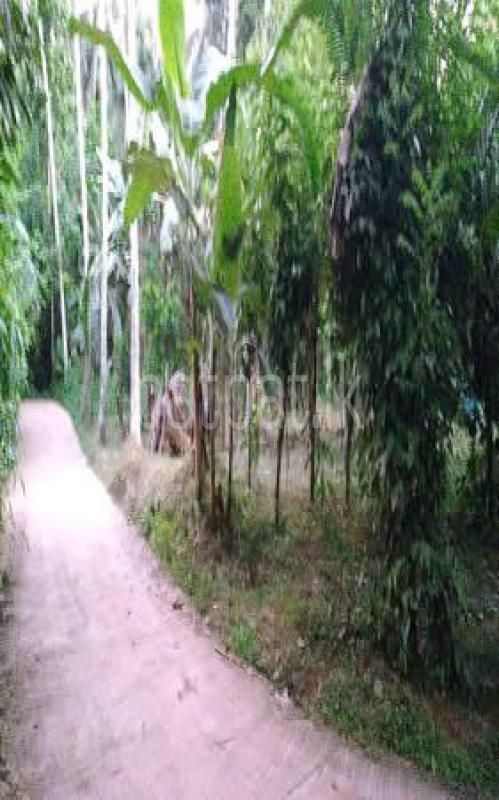 Residential Land for Sale in Nittambuwa