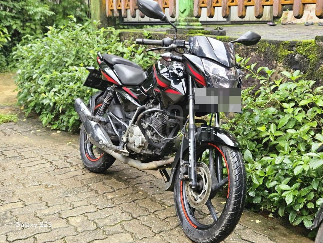 Bajaj Pulsar 2013 - භාවිතා කරන ලද බයිසිකලය sale in Sri Lanka - patpat.lk