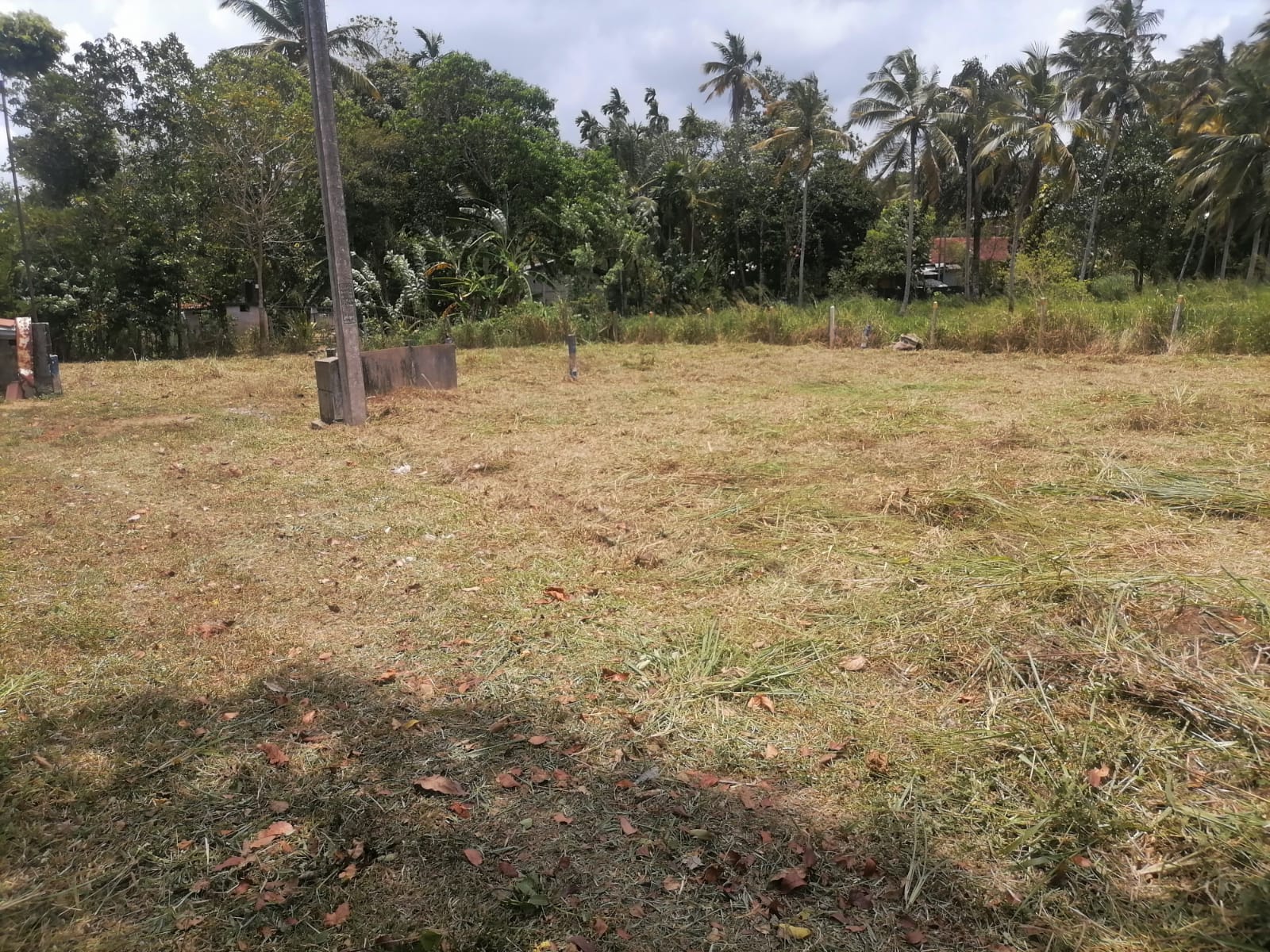 Commercial Land for Sale in Yakkala