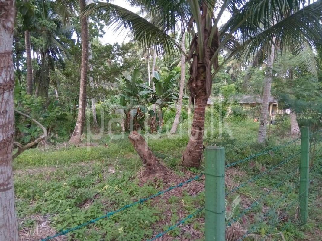 Residential Land for Sale in Badalgama