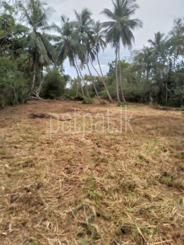 Agricultural Land for Sale in Wariyapola