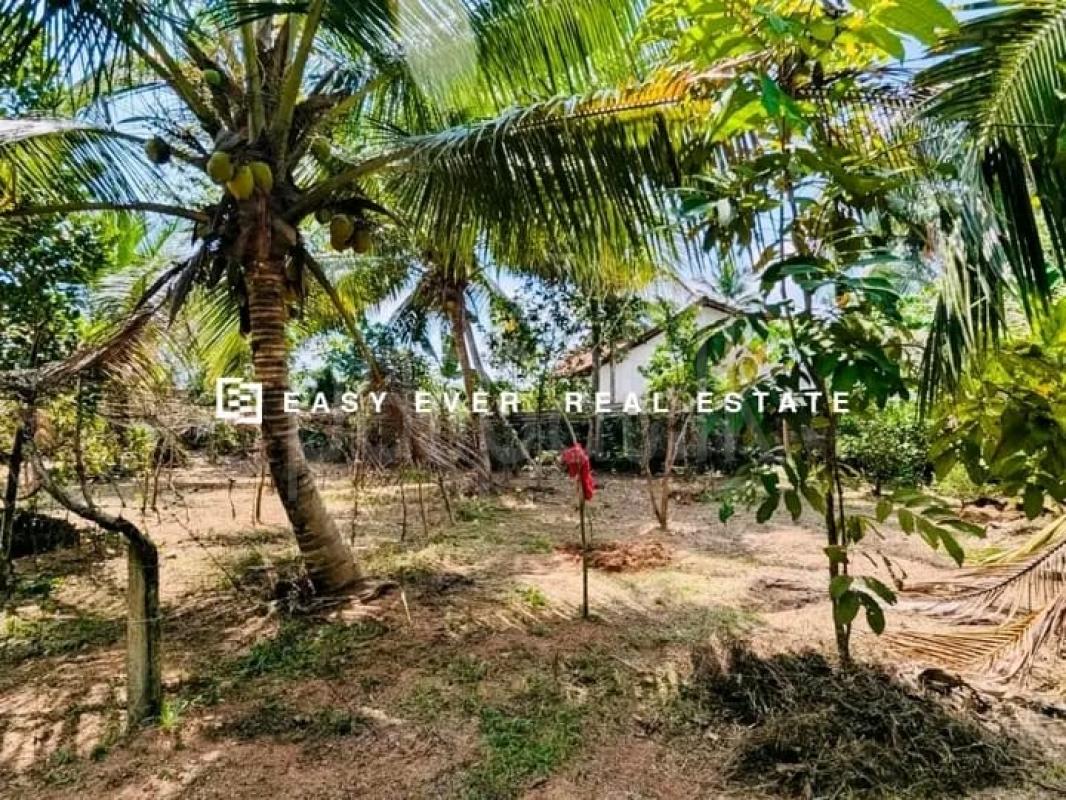 Commercial Land for Sale in Hanwella