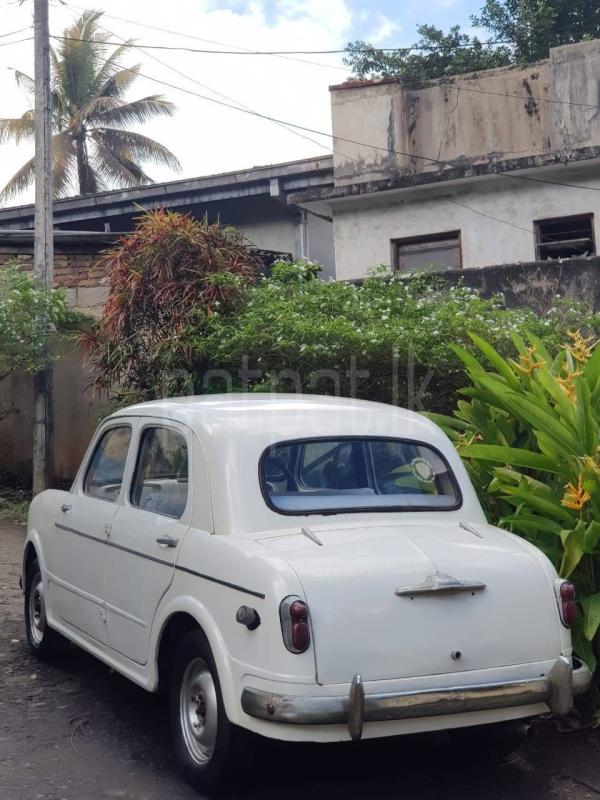 Advertisement image 4