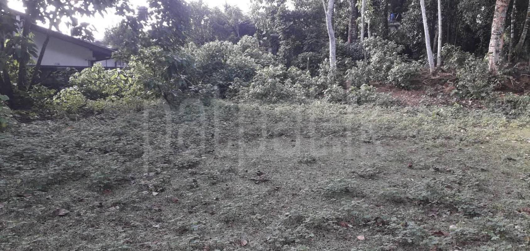 Commercial Land for Sale in Homagama
