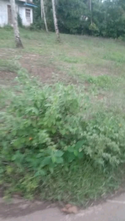 Commercial Land for Sale in Athurugiriya