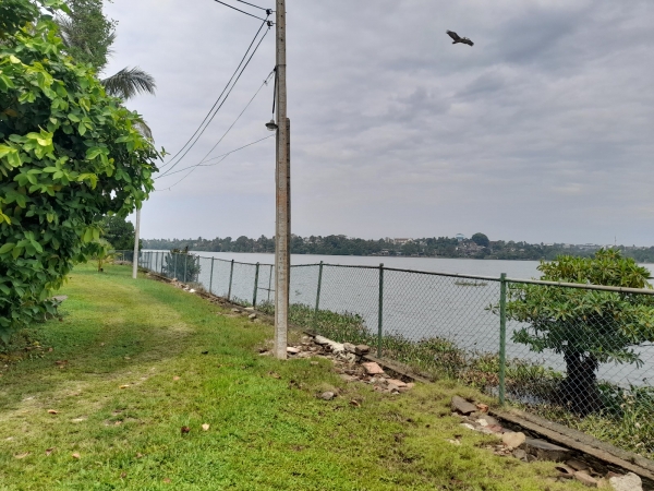 Residential Land for Sale in Dehiwala