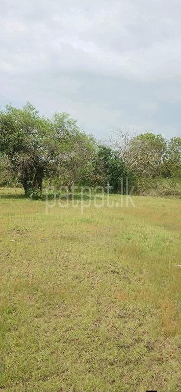 Residential Land for Sale in Kataragama
