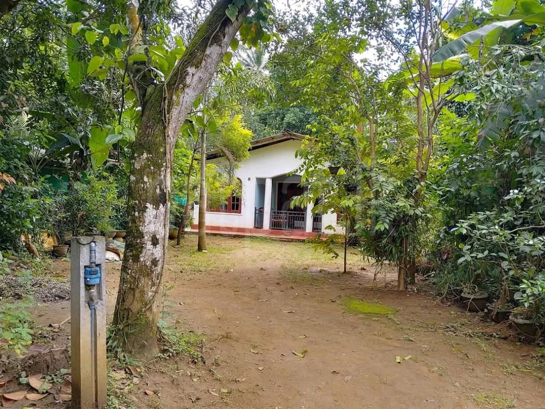House for Sale in Gampola ads-image-1