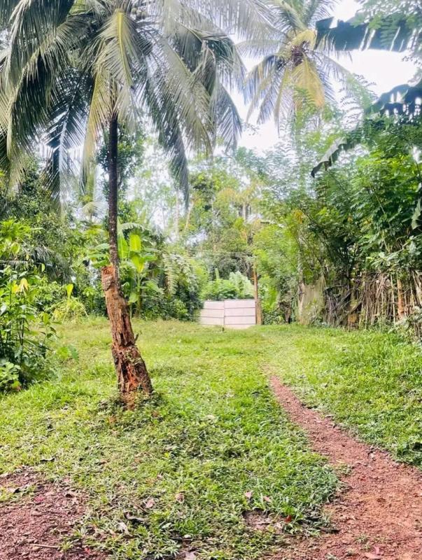 Residential Land for Sale in Weligama