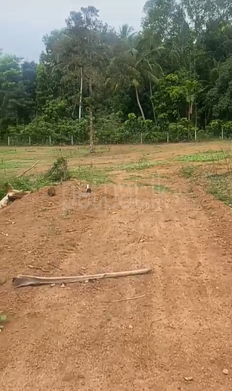 Commercial Land for Sale in Hakmana ads-image-1