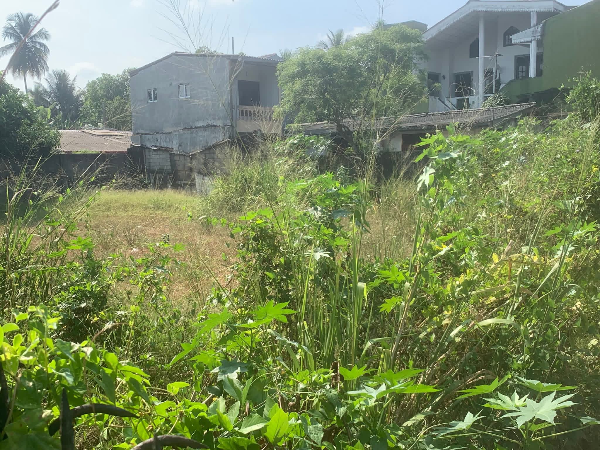 Residential Land for Sale in Kottawa ads-image-1