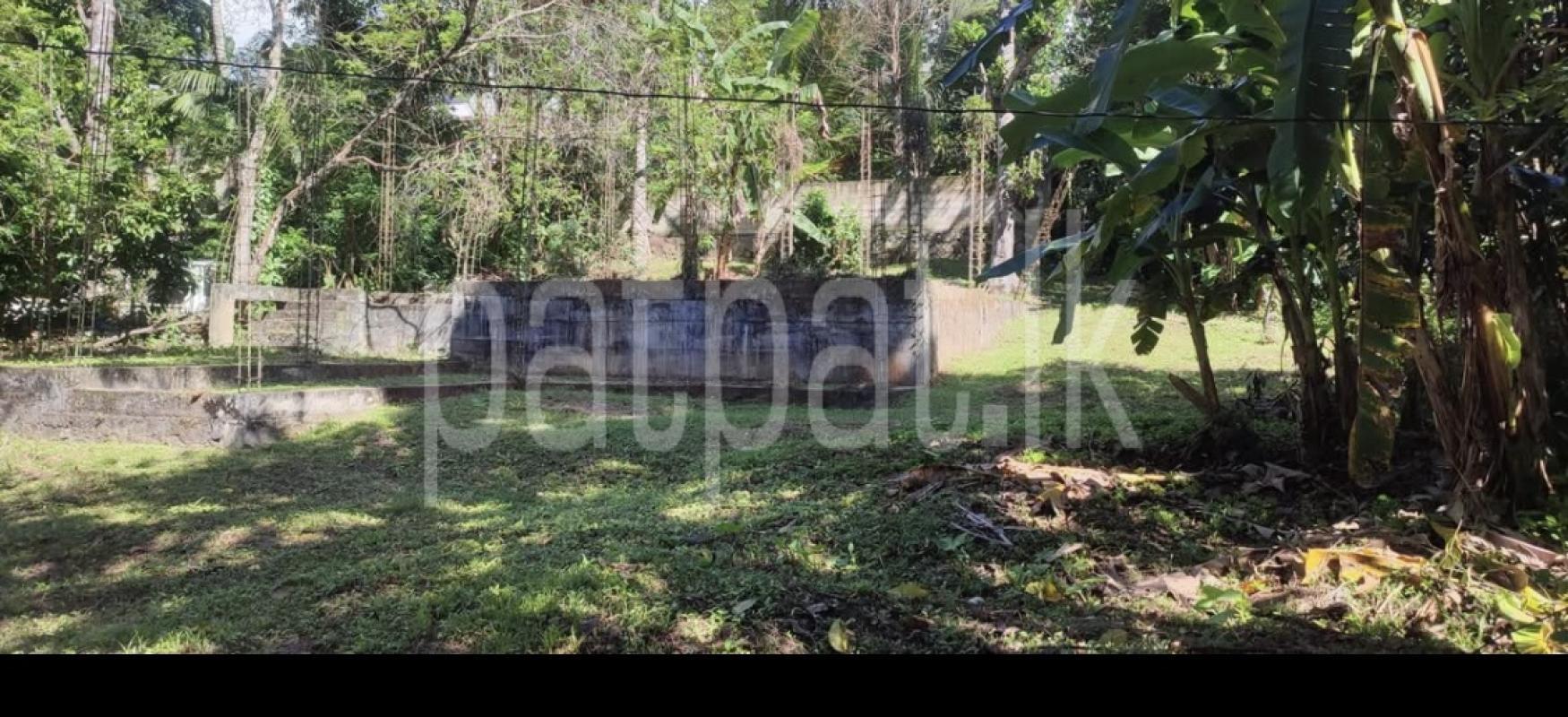 Agricultural Land for Sale in Kundasale