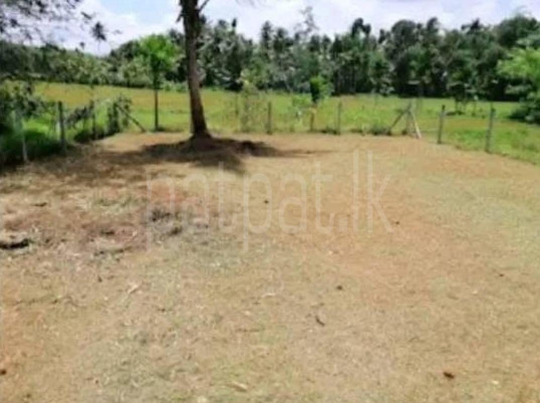 Commercial Land for Sale in Homagama ads-image-1