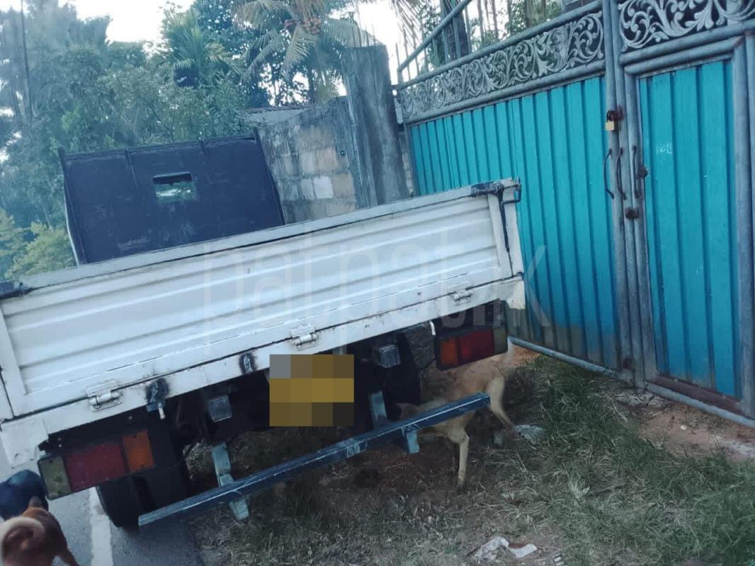 Isuzu ELF 2000 - Used Truck sale in Sri Lanka - patpat.lk