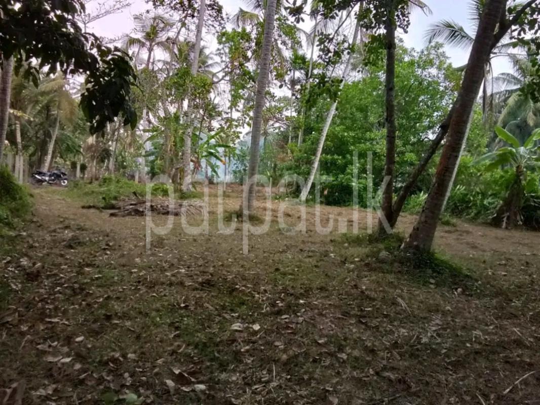 Residential Land for Sale in Ahungalla
