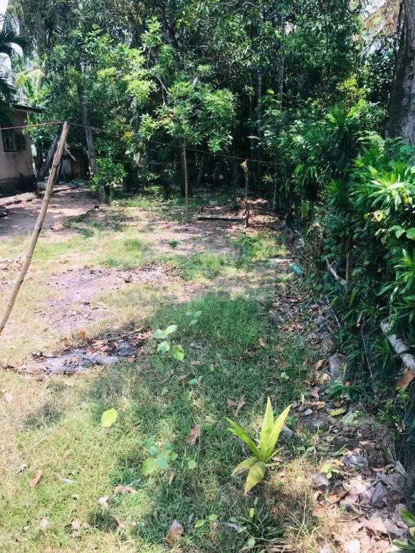 Residential Land for Sale in Veyangoda