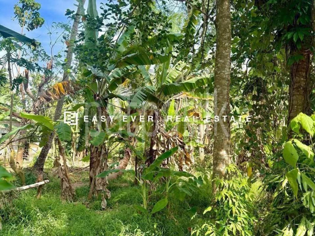 Residential Land for Sale in Kalagedihena