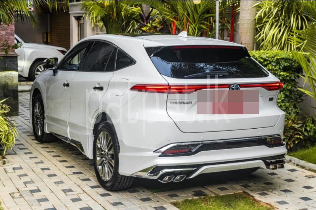 Advertisement image 3