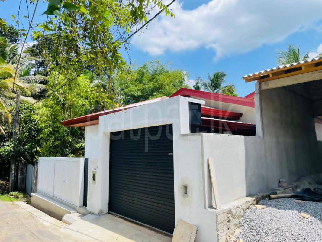 Advertisement image 5