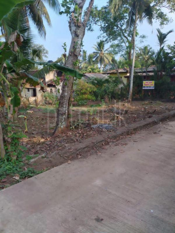 Commercial Land for Sale in Horana