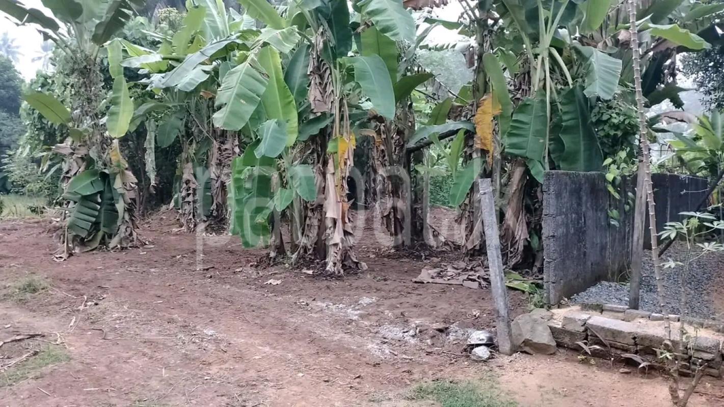 Agricultural Land for Sale in Maggona