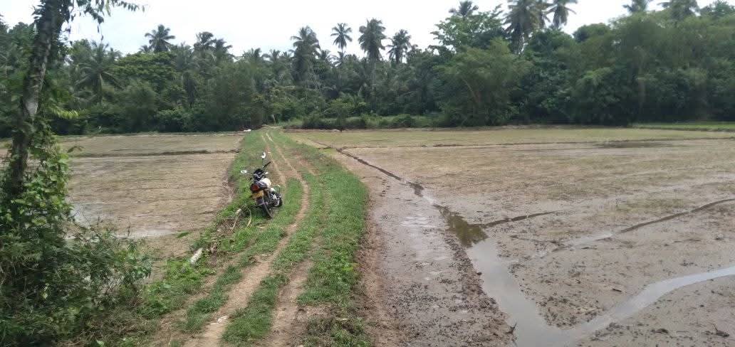 Commercial Land for Sale in Veyangoda