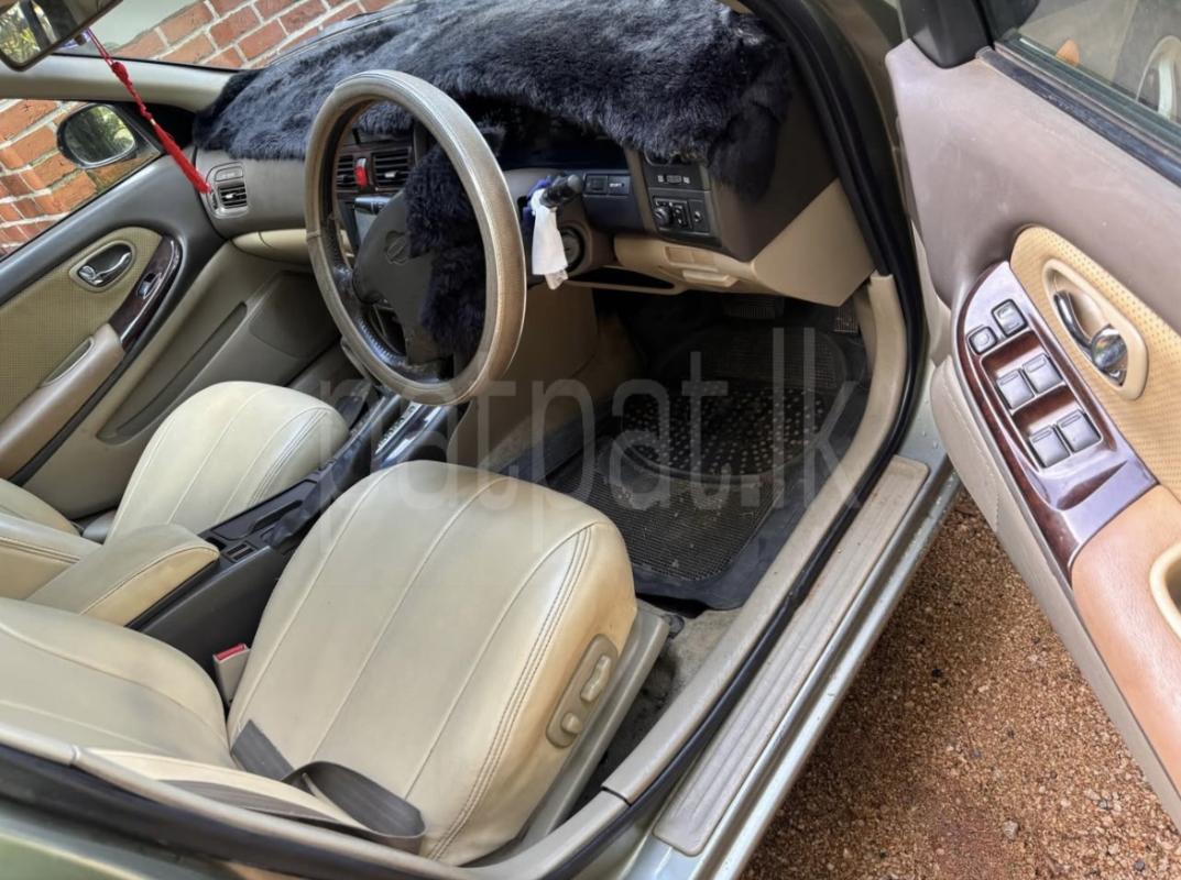 Advertisement image 5