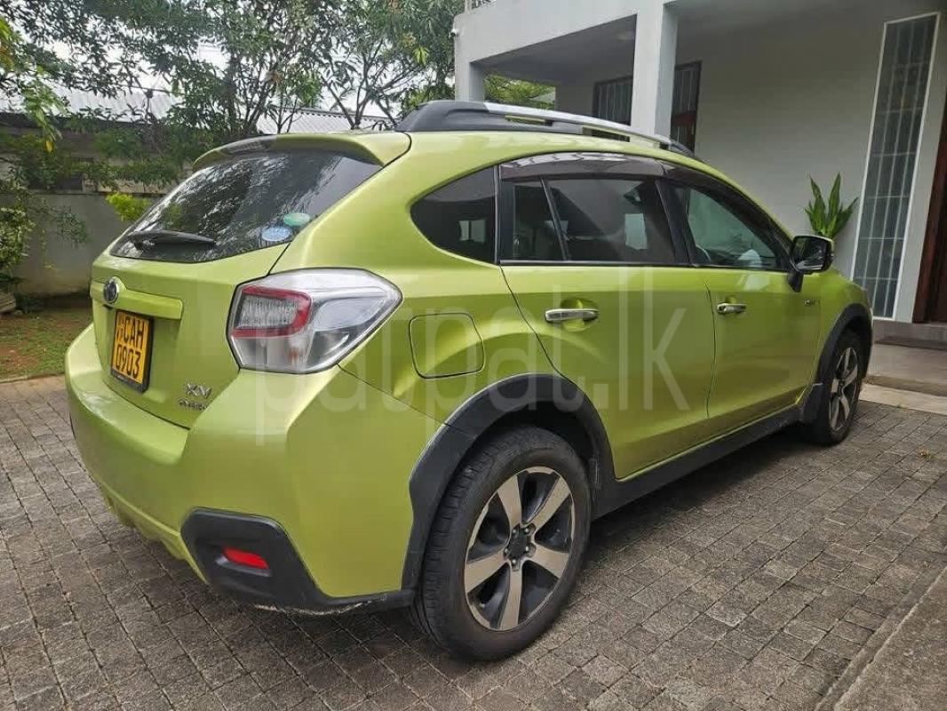 Advertisement image 2