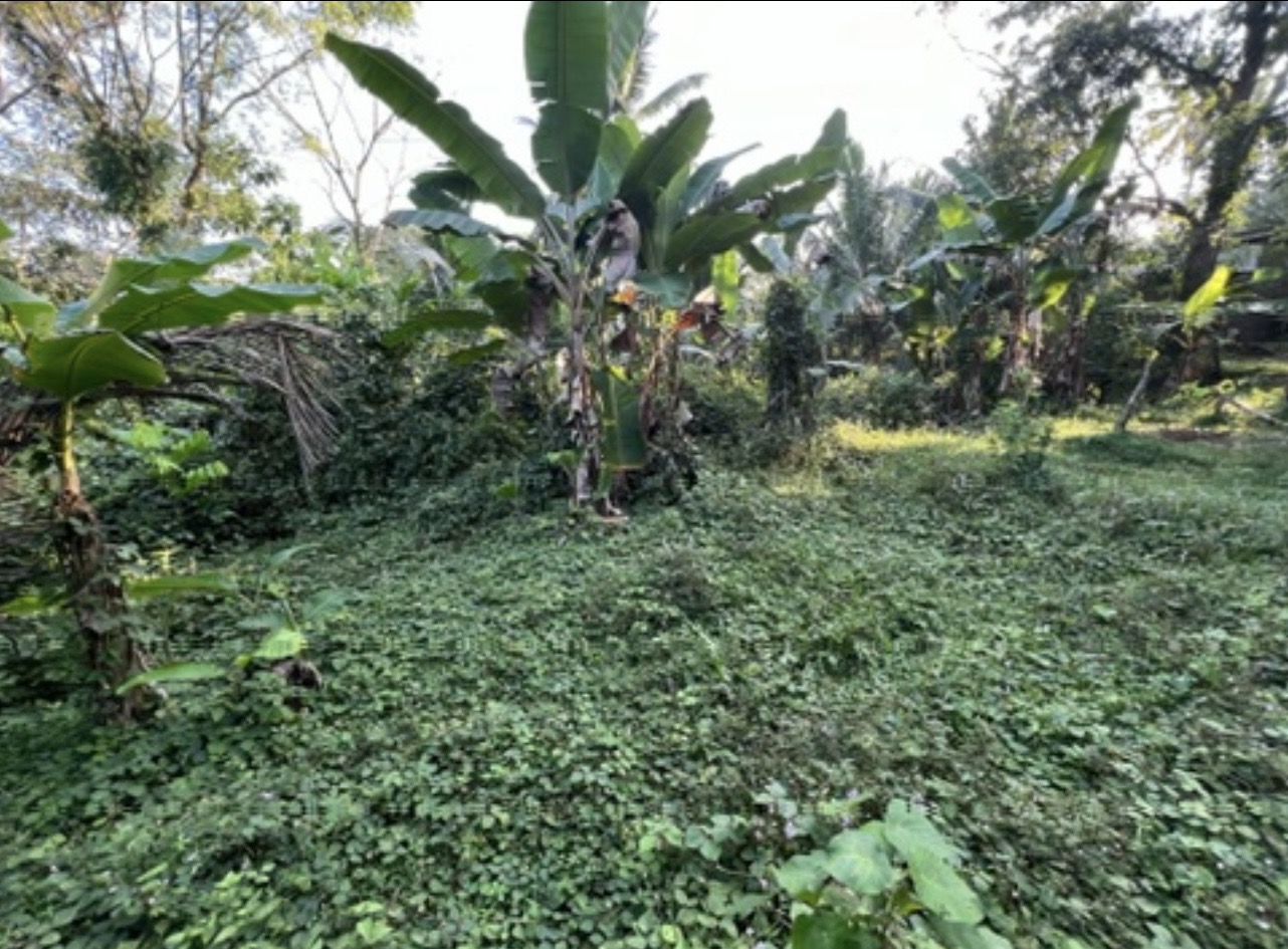 Residential Land for Sale in Kumbuka