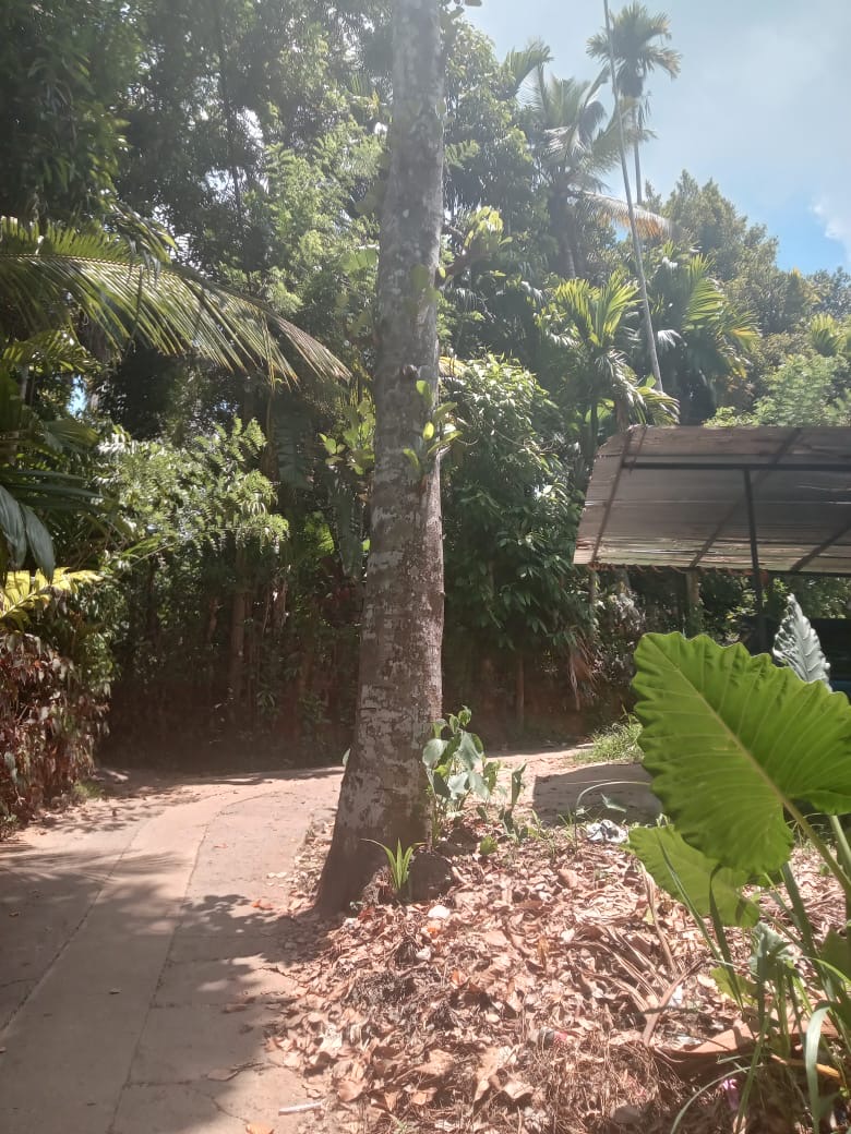 Residential Land for Sale in Medawala Harispattuwa