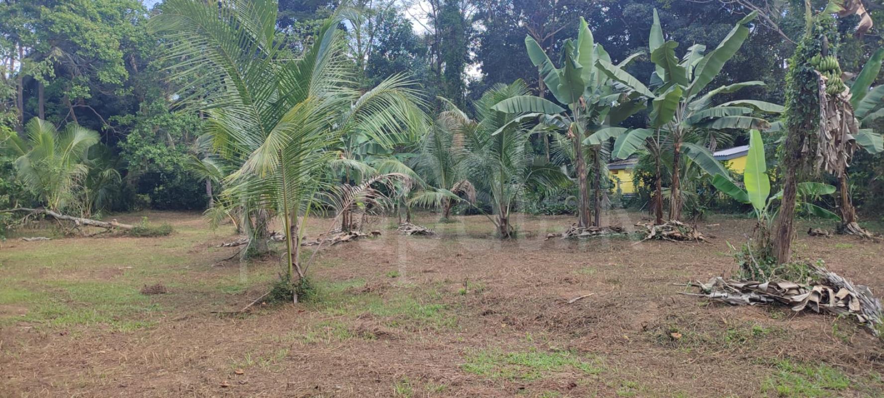 Residential Land for Sale in Bopitiya