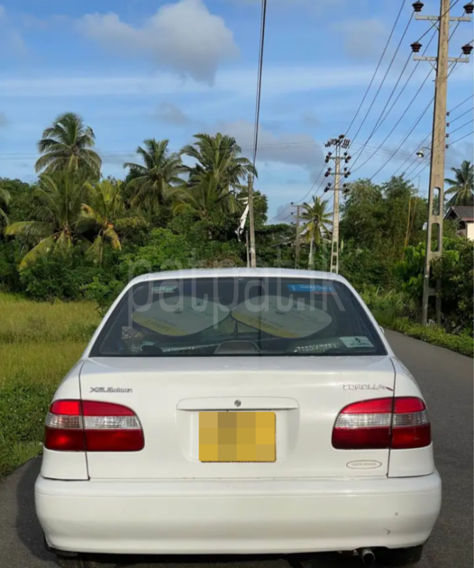 Toyota Corolla 1997 - Used Car sale in Sri Lanka - patpat.lk